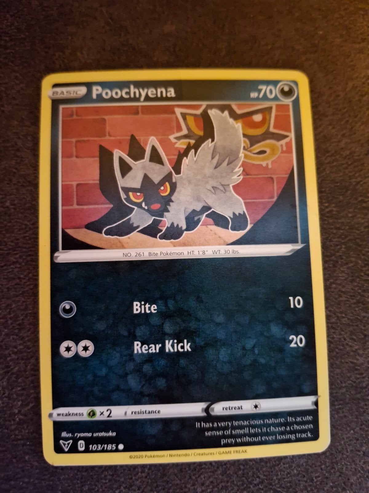 Poochyena Pokémon Kaart - Zeldzaam en in goede staat, Ophalen of Verzenden, Zo goed als nieuw, Losse kaart