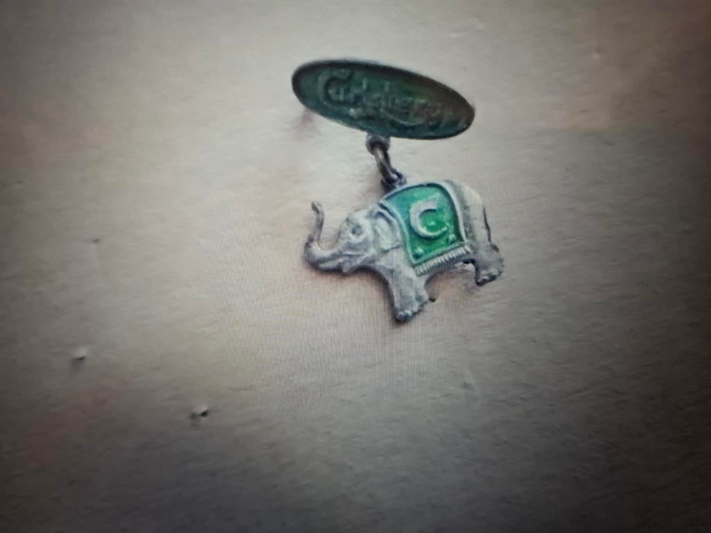 Broche Carlberg, Ophalen of Verzenden, Zo goed als nieuw, Merk, Speldje of Pin