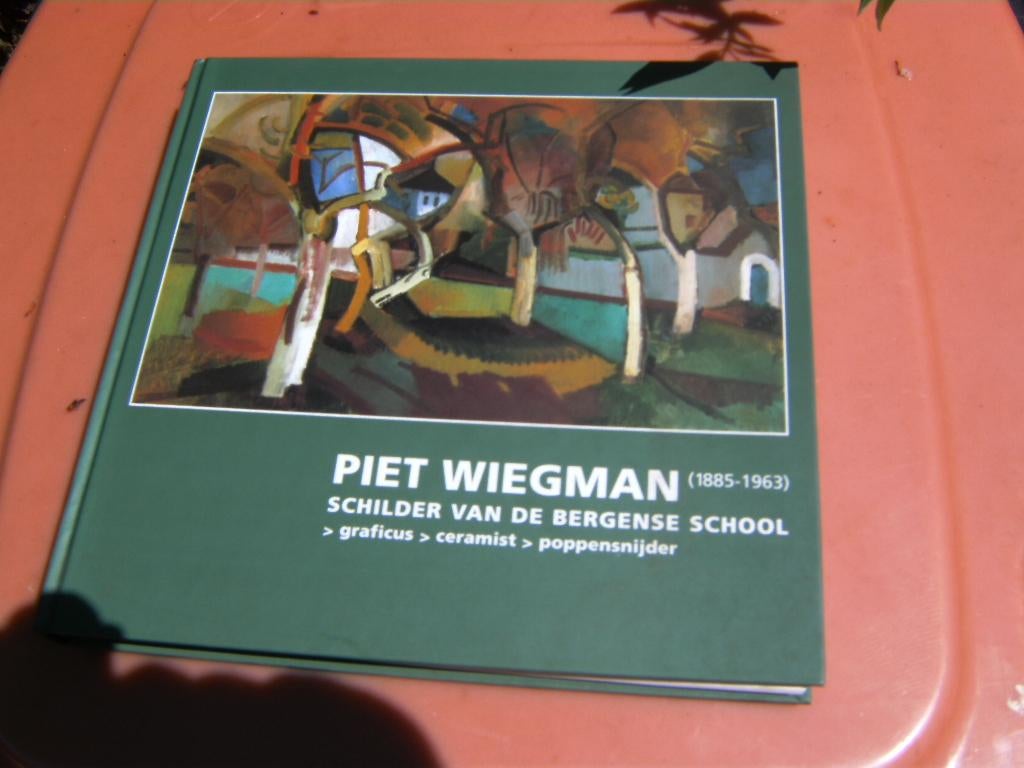 boek Piet Wiegman, Ophalen of Verzenden, Zo goed als nieuw, Schilder- en Tekenkunst