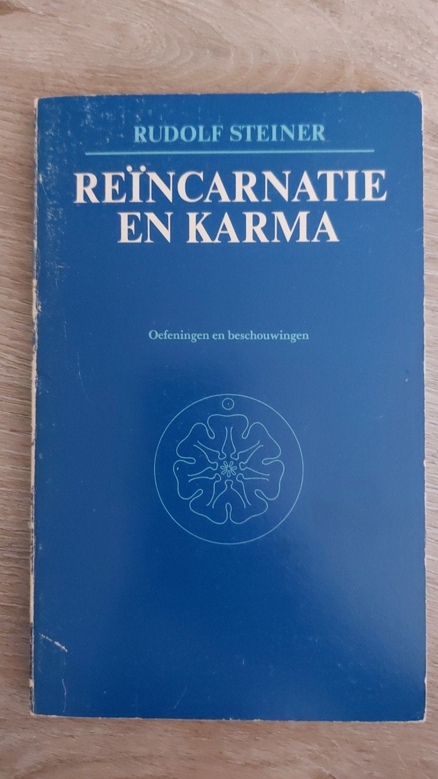 BB3: Reïncarnatie en Karma - Rudolf Steiner, Boeken, Ophalen of Verzenden, Spiritualiteit algemeen, Achtergrond en Informatie