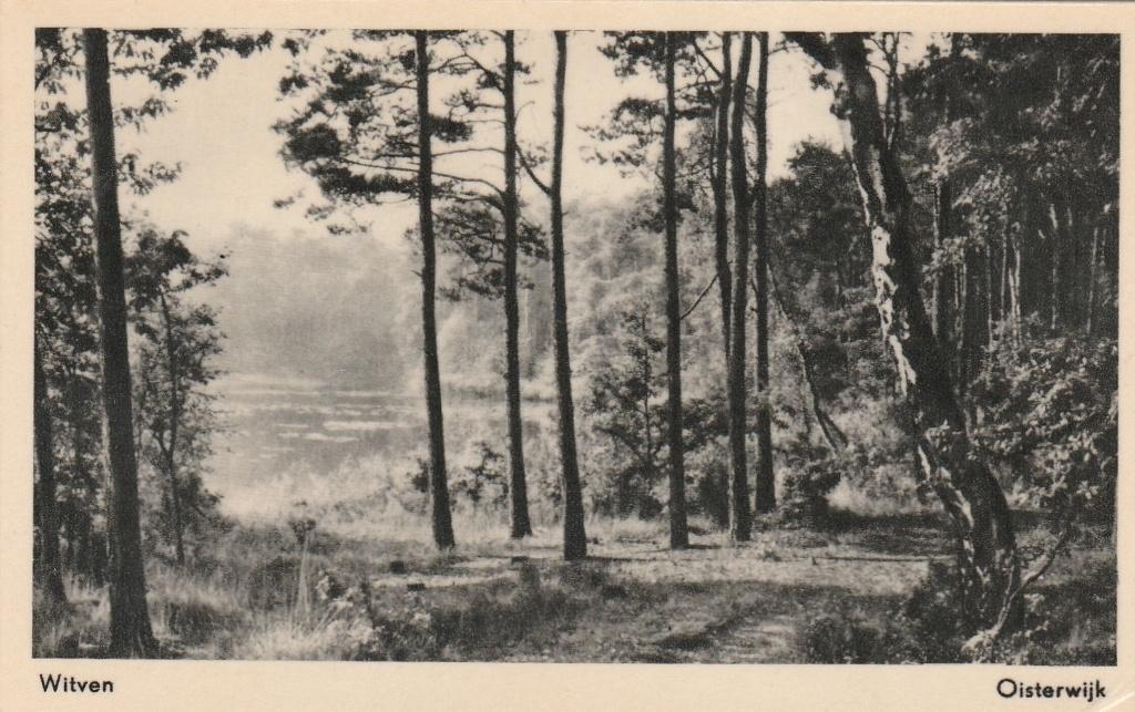 OISTERWIJK Witven, Verzenden, 1940 tot 1960, Ongelopen, Noord-Brabant