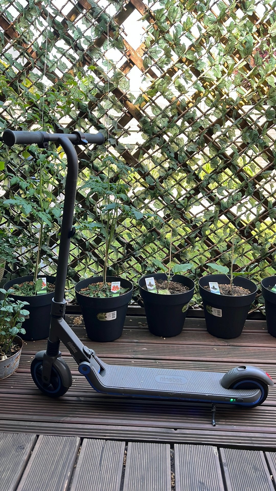 Te koop Segway Ninebot electrische step model E10, Fietsen en Brommers, Steps, Ophalen, Elektrische step (E-scooter)