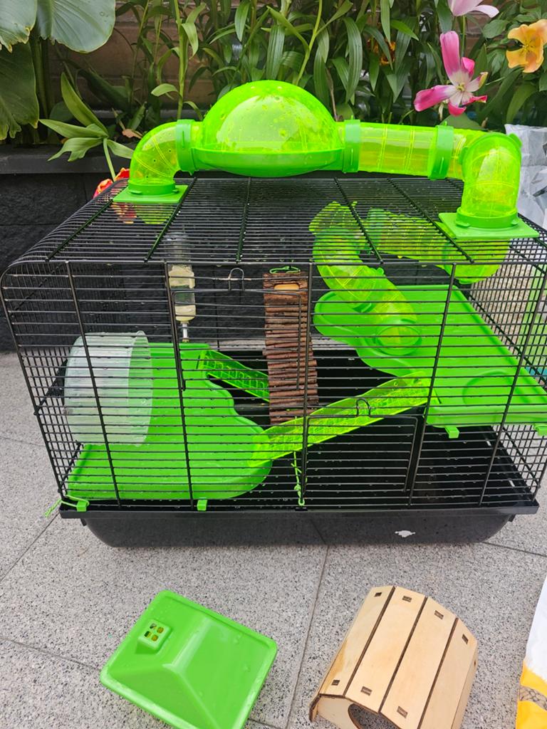 Nette hamsterkooi, Dieren en Toebehoren, Ophalen, Minder dan 75 cm, Kooi, Minder dan 60 cm