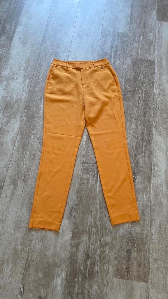 Josh V broek S, Geel, Ophalen of Verzenden, Zo goed als nieuw, Maat 36 (S)