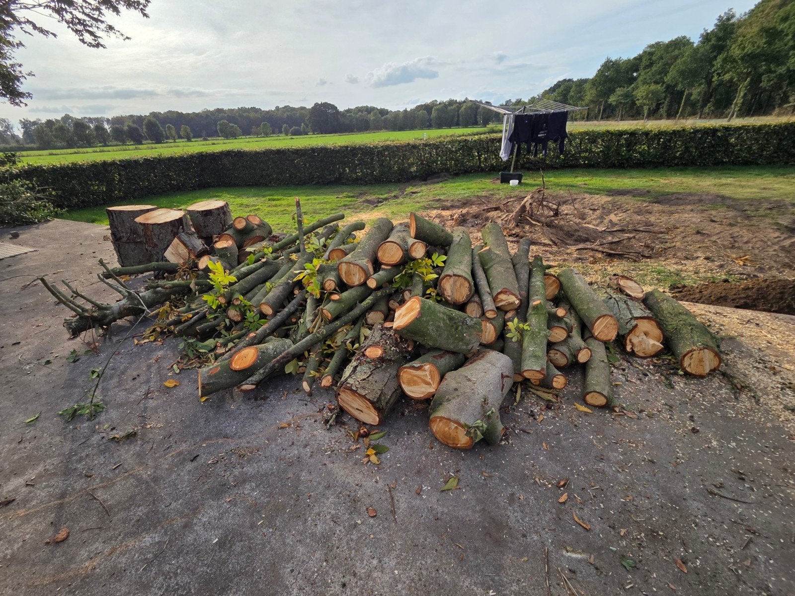 Brandhout, haardhout, kachelhout, Minder dan 3 m³, Ophalen, Overige houtsoorten, Stammen