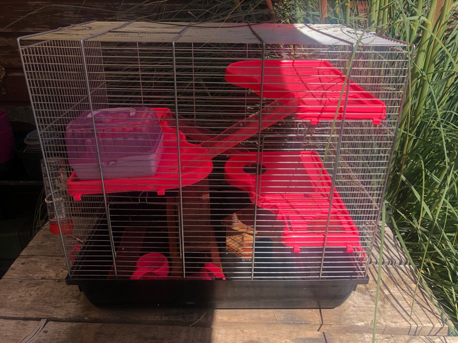 Hamster kooi, Kooi, Gebruikt, Minder dan 75 cm, Hamster