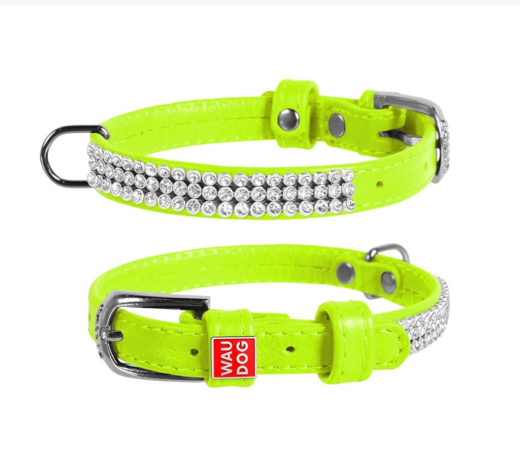 WAUDOG Glamour Halsband Leder Groen XS Nek 21-29 cm KOOPJE!, Ophalen of Verzenden, Handgemaakt, Nieuw