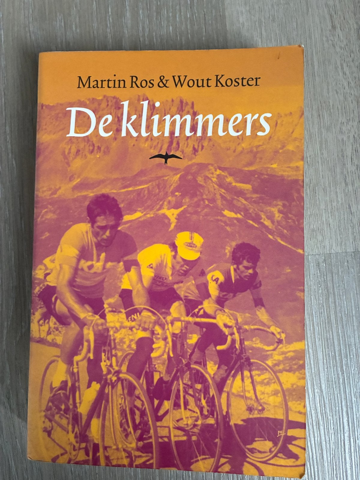 De klimmers - Martin Ros & Wout Koster (Boek), Ophalen of Verzenden, Gelezen, Lopen en Fietsen
