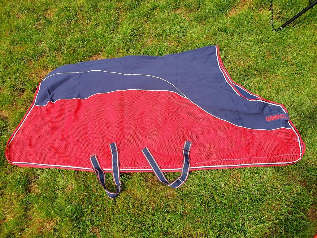 Rambo sport cooler 6.9, Ophalen of Verzenden