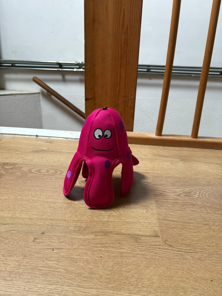 Kong octopus, Ophalen, Zo goed als nieuw, Intelligentiespeelgoed