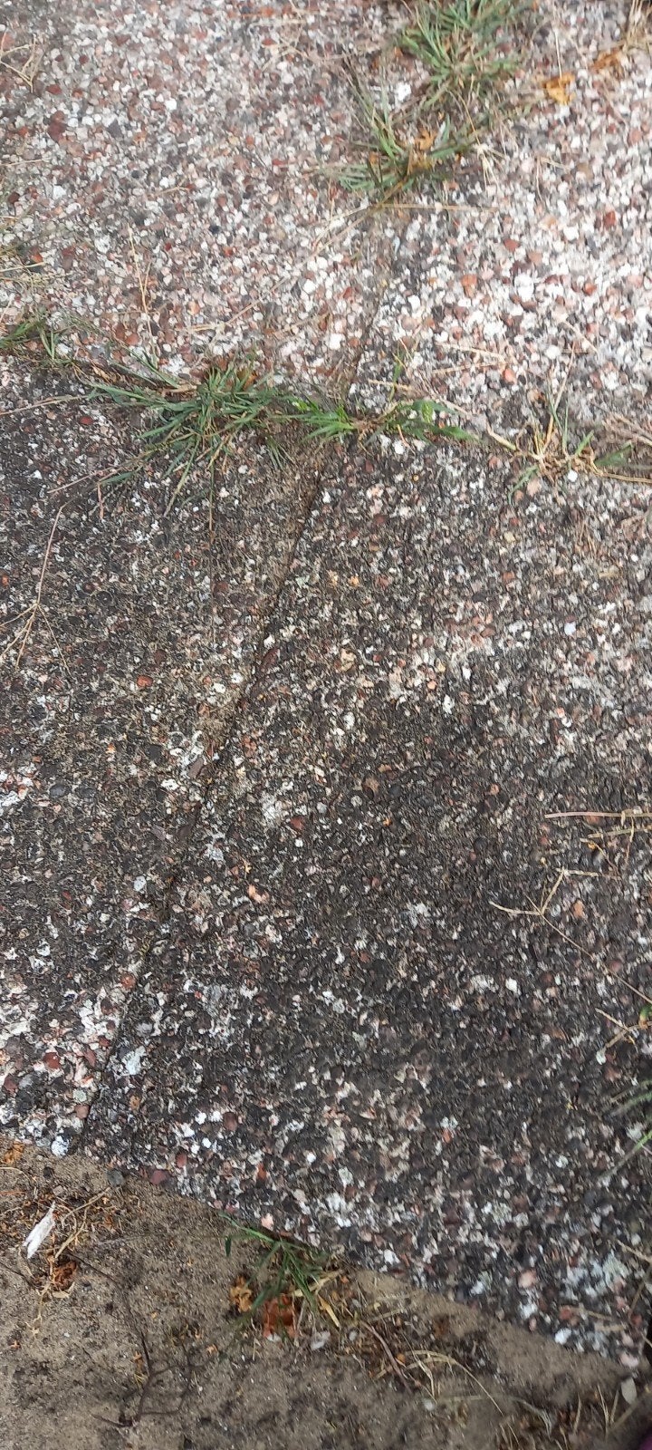 Grinttegels 60x40 cm - 30 stuks.ze zijn €1,50 per stuk., Tuin en Terras, Ophalen, Gebruikt, Overige typen