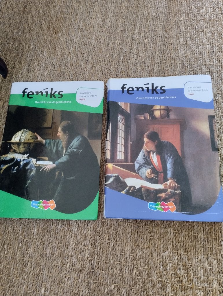 Feníks overzicht van de geschiedenis HAVO/ VWO, Boeken, Ophalen of Verzenden, Gelezen, HAVO, Geschiedenis