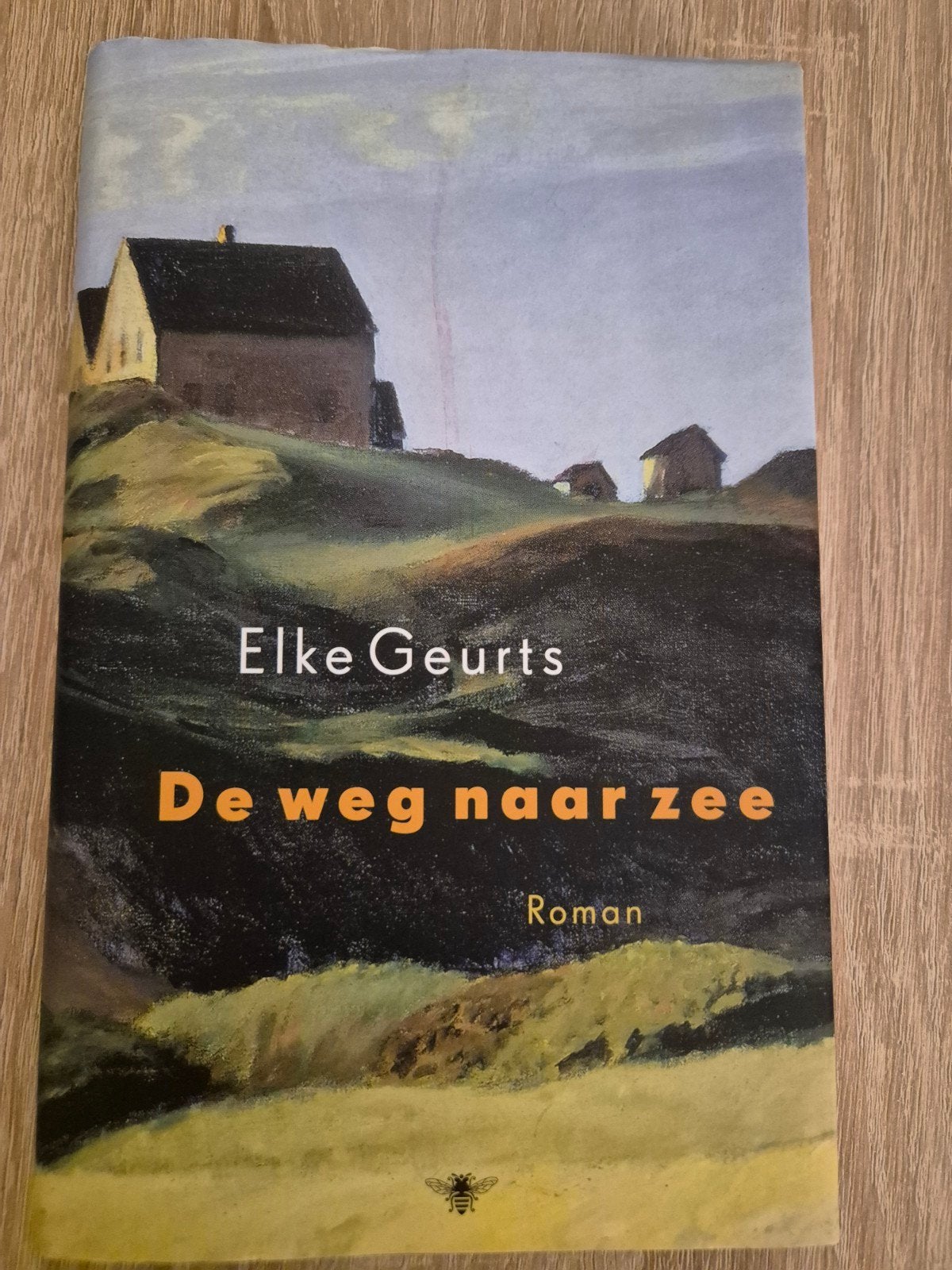 Elke Geurts - De weg naar zee, Ophalen of Verzenden, Zo goed als nieuw, Elke Geurts