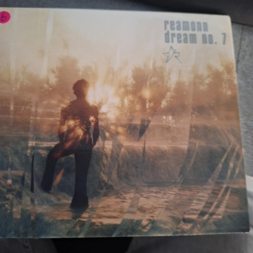Reamonn dream no. 7, Cd's en Dvd's, Ophalen of Verzenden, Zo goed als nieuw