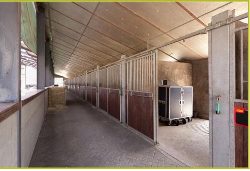 Luxe pensionstal opent 1 okt haar deuren aan het bos!, Weidegang, 4 paarden of pony's of meer