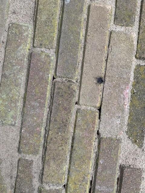 betonsteen waalformaat, Tuin en Terras, Ophalen, Gebruikt, Klinkers, 10 m² of meer