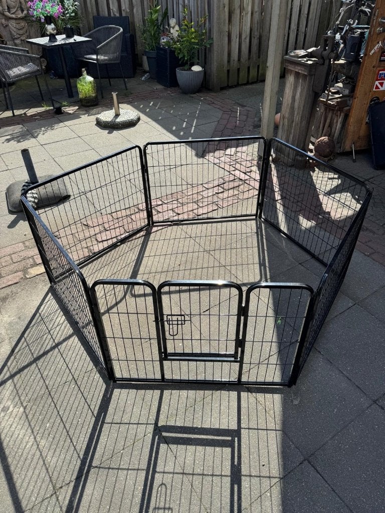 hondenren / puppyren, Ophalen, Nieuw