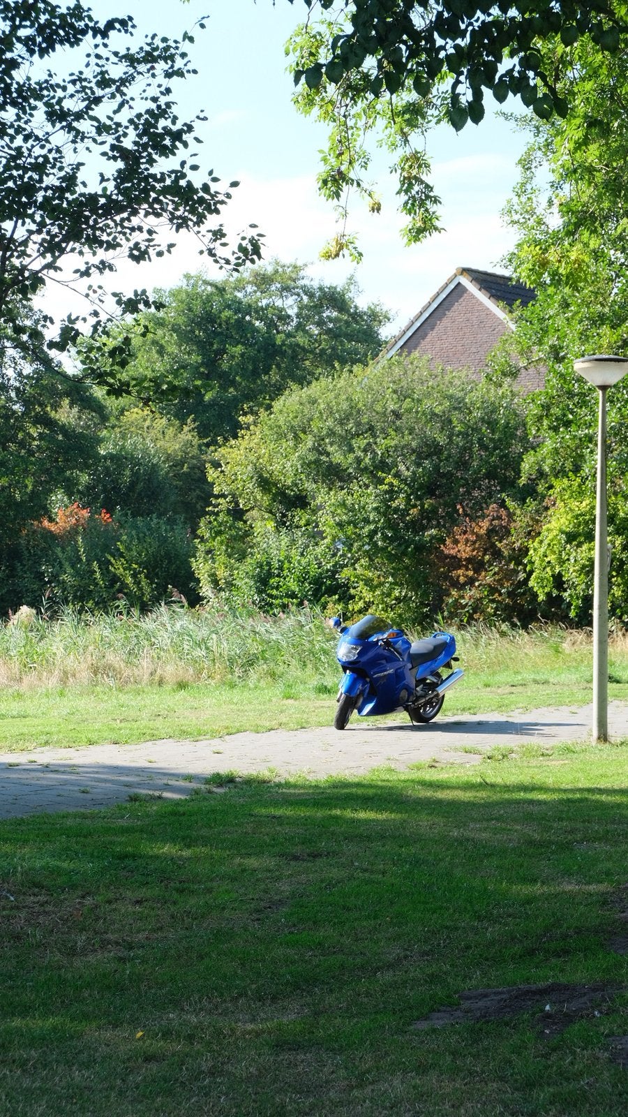 Zeer mooie Honda 1100 super Blackbird XX te koop aangeboden., Ophalen of Verzenden