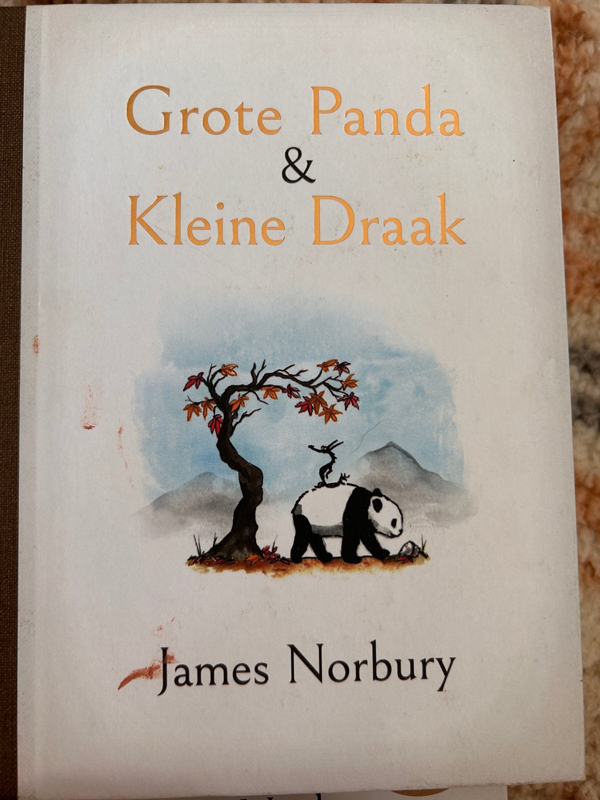Grote Panda & Kleine Draak - James Norbury (Zo goed als nieu, Ophalen of Verzenden, Zo goed als nieuw