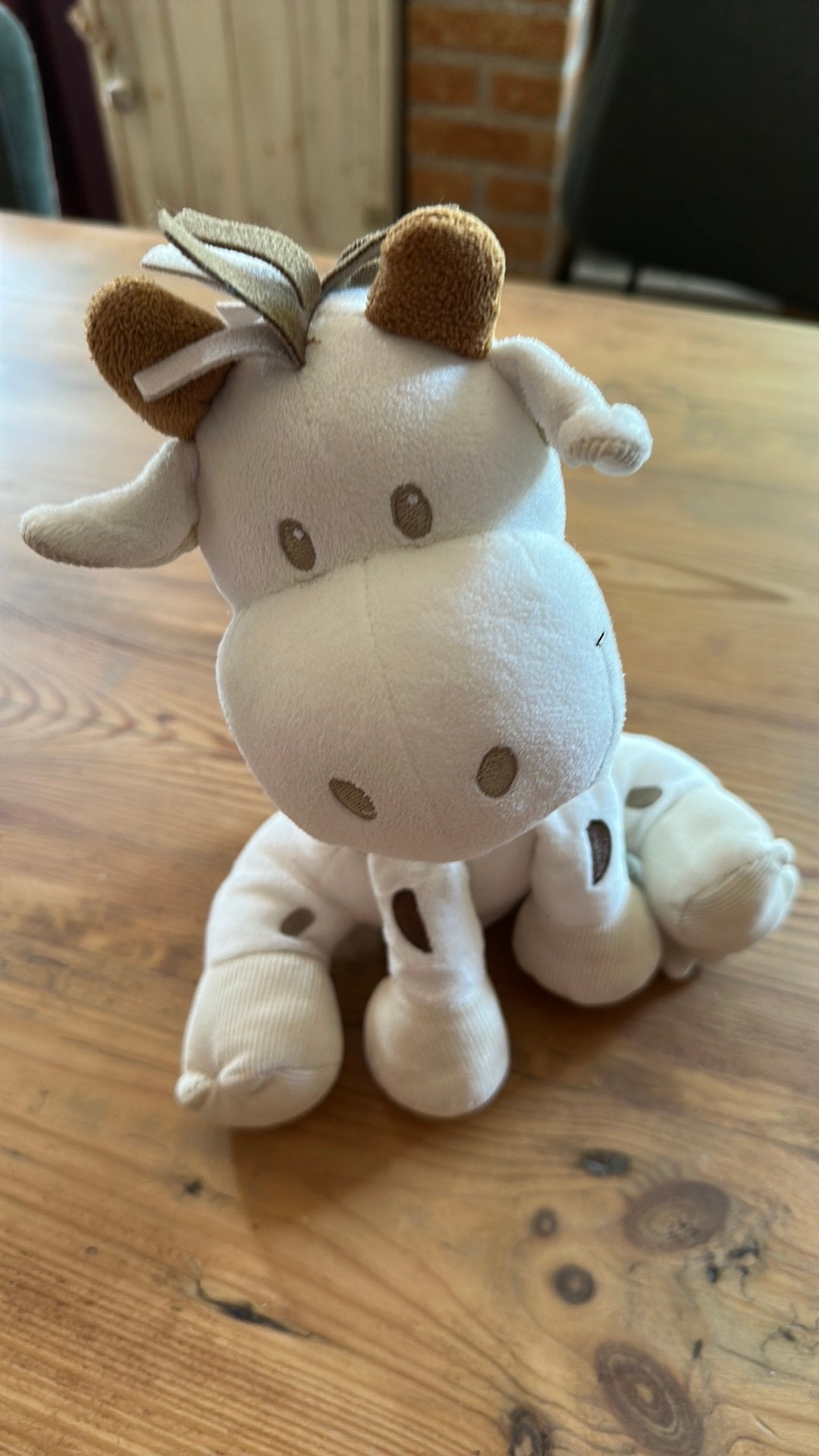 Knuffel, Ophalen of Verzenden, Zo goed als nieuw, Overige typen