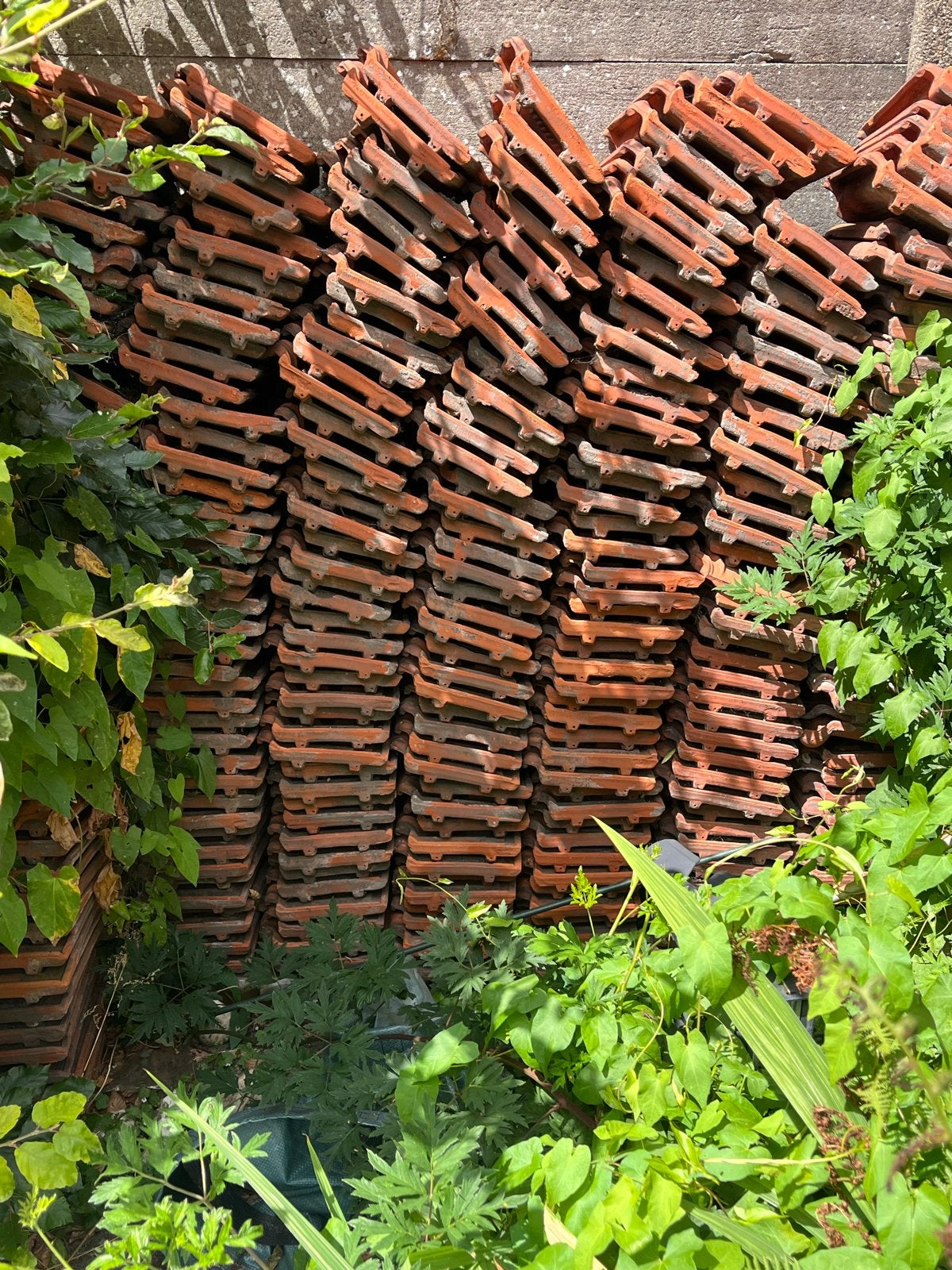 300 Originele dakpannen, Ophalen, Gebruikt, Steen of Klei, 15 m² of meer