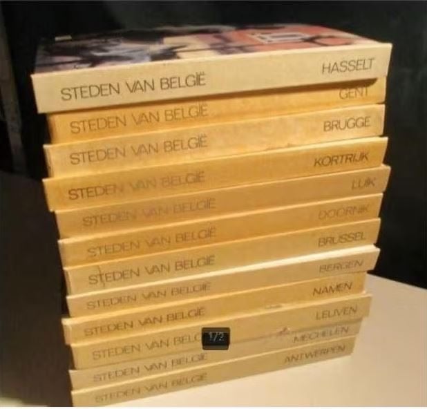 12 Prachtige Prentenboeken - Steden van Belgie, Ophalen of Verzenden, Zo goed als nieuw, Prentenboek