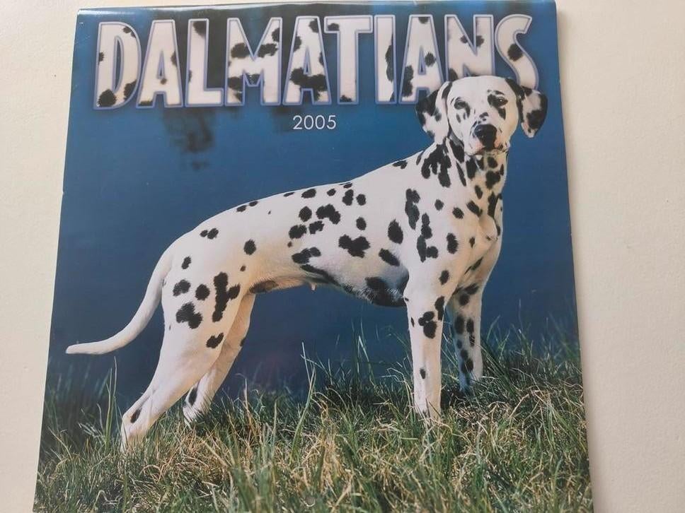 Dalmatiers kalender 2005, Ophalen of Verzenden, Maandkalender, Gebruikt