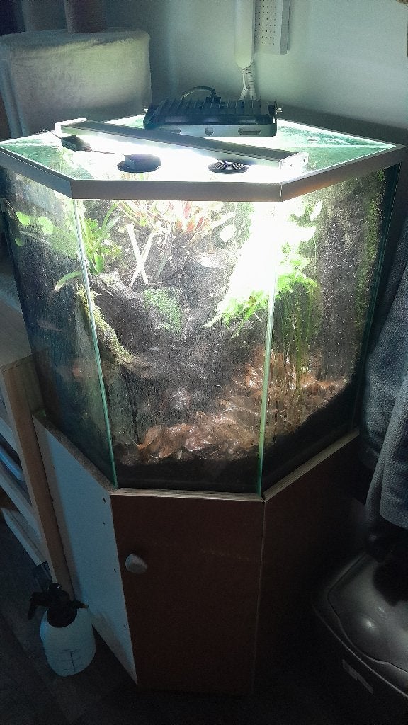 Vivarium met kast, Dieren en Toebehoren, Reptielen en Amfibieën | Toebehoren, Gebruikt, Overige typen, Ophalen