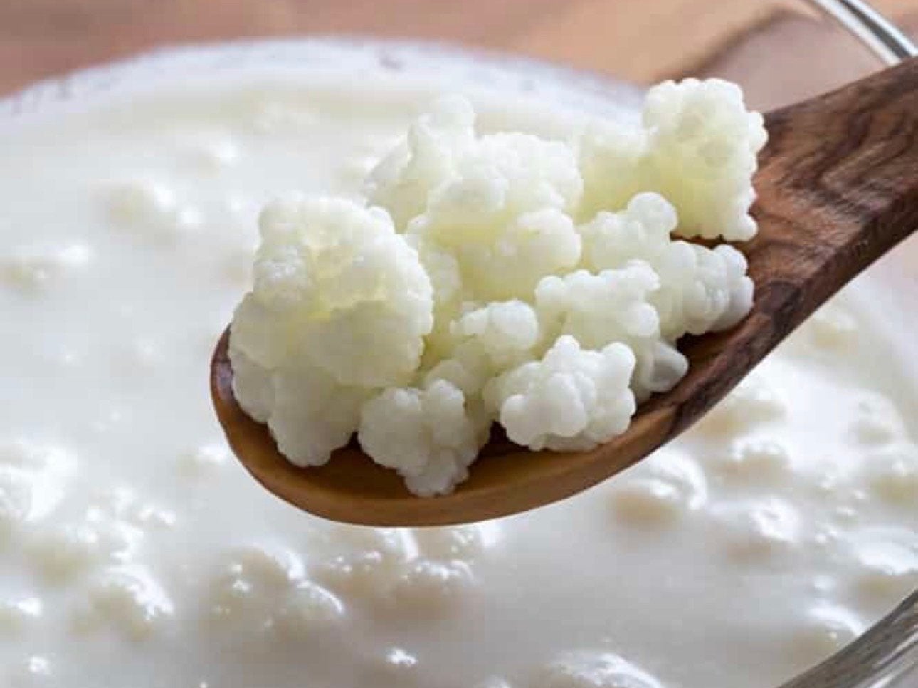 Kefir, Ophalen