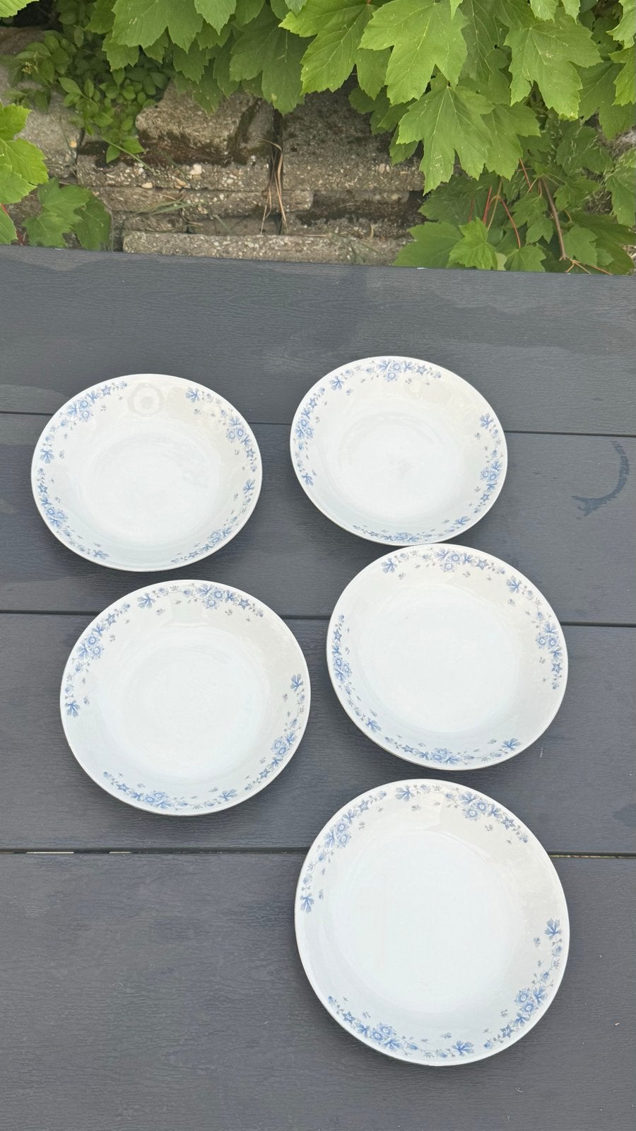 Set van 5 diepe borden met blauw bloemmotief - Epiag D.F., Antiek en Kunst, Ophalen of Verzenden