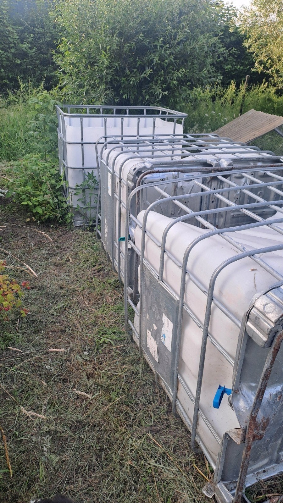Te koop 5 ibc kratten op ijzeren frame., Ophalen, Gebruikt, 100 cm of meer, 60 cm of meer