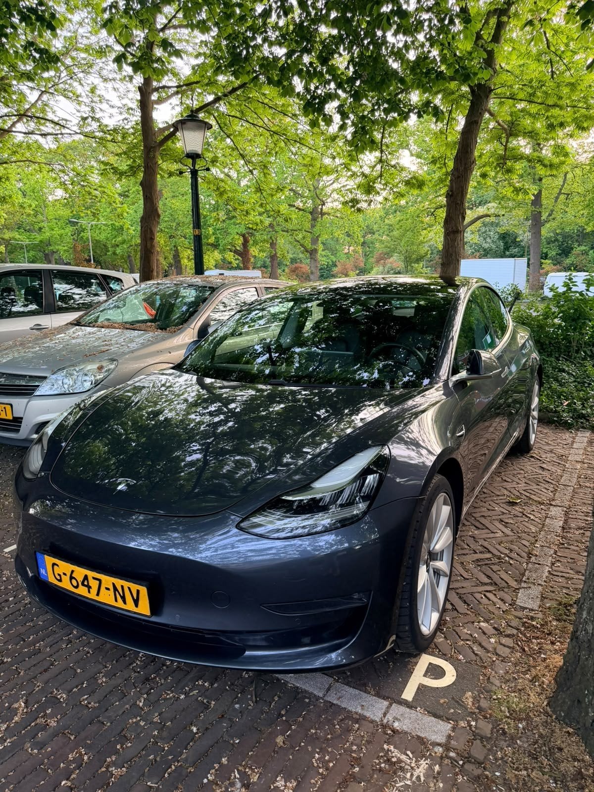 Tesla Model 3 Long Range Dual Motor | NAP | Fabrieksgarantie