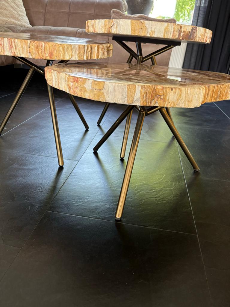 Set van 3 salon tafels van versteend hout, Ophalen, Overige materialen, 50 tot 100 cm, Zo goed als nieuw