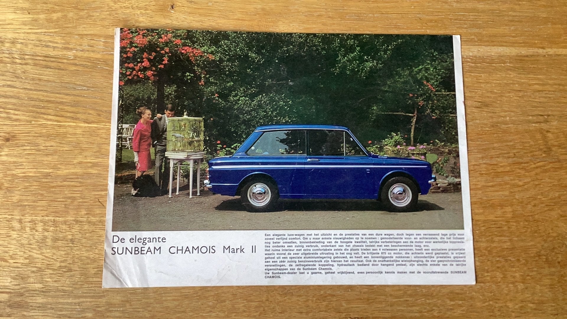 Originele Sunbeam Chamois Mark II Autoreclame (1960s), Ophalen of Verzenden, Gelezen, Overige merken