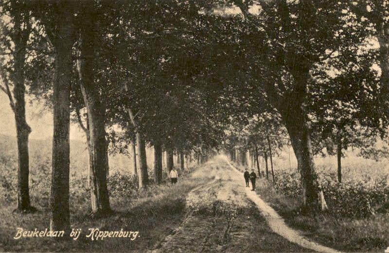 Kippenburg - Beukelaan bij, Ophalen of Verzenden, Voor 1920, Gelopen, Friesland