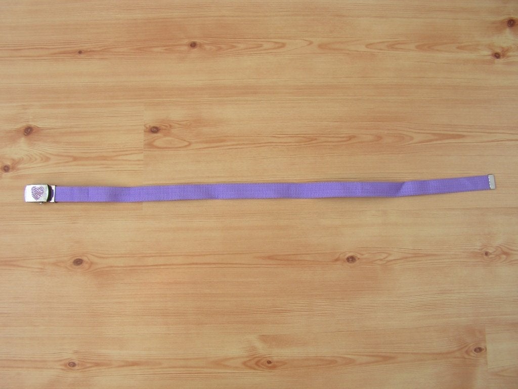NIEUW Riem. Lengte: 77 cm., Ophalen of Verzenden, Nieuw, Riem, Overige kleuren