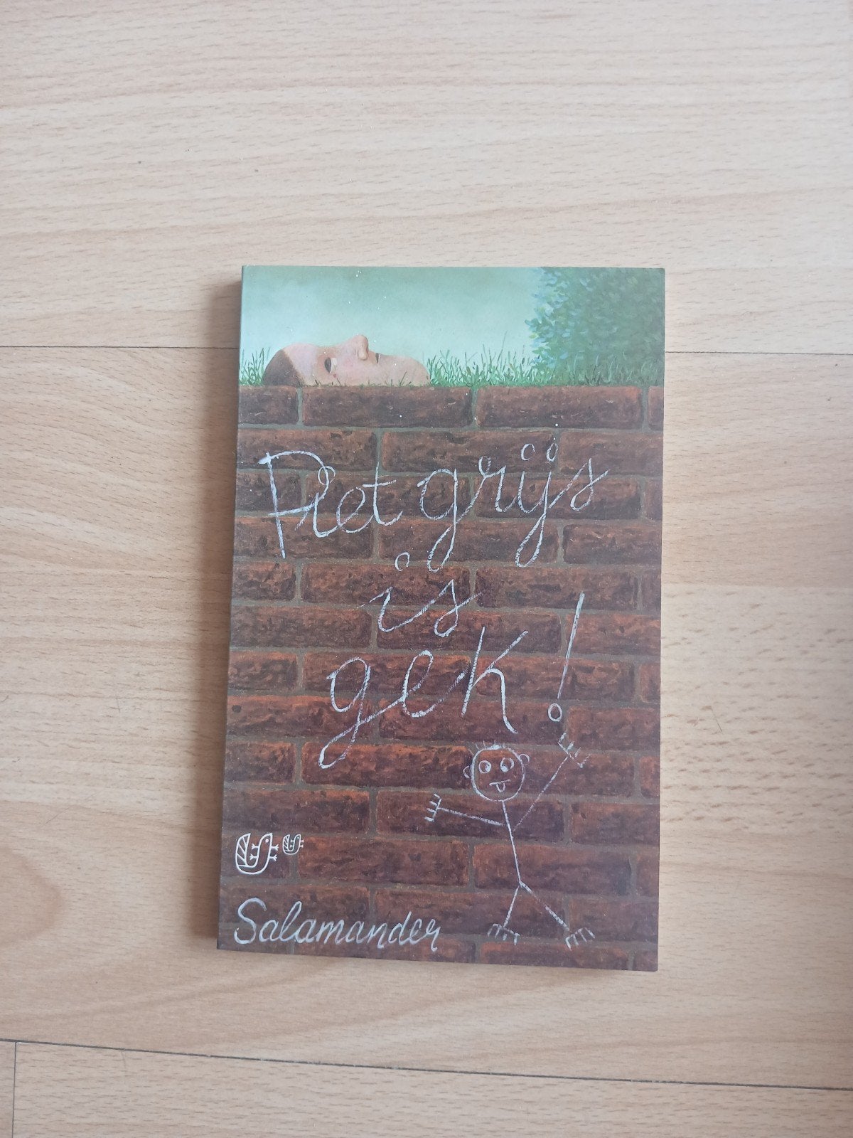 Piet grijs is gek! - Salamander, Ophalen of Verzenden, Gelezen, Piet Grijs, Nederland