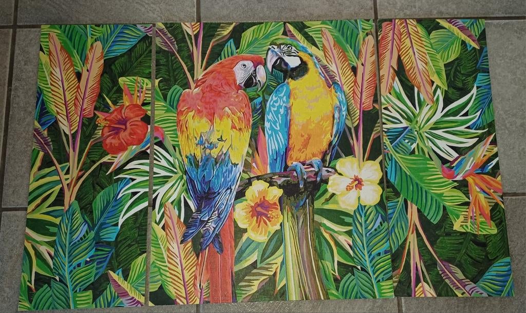 Schilderen op nummer - Kant en klaar  kunstwerk van papegaai, Ophalen