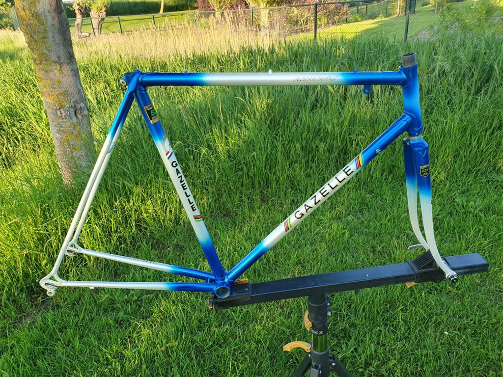 Gazelle Champion Mondial 57cm 1982, Ophalen of Verzenden