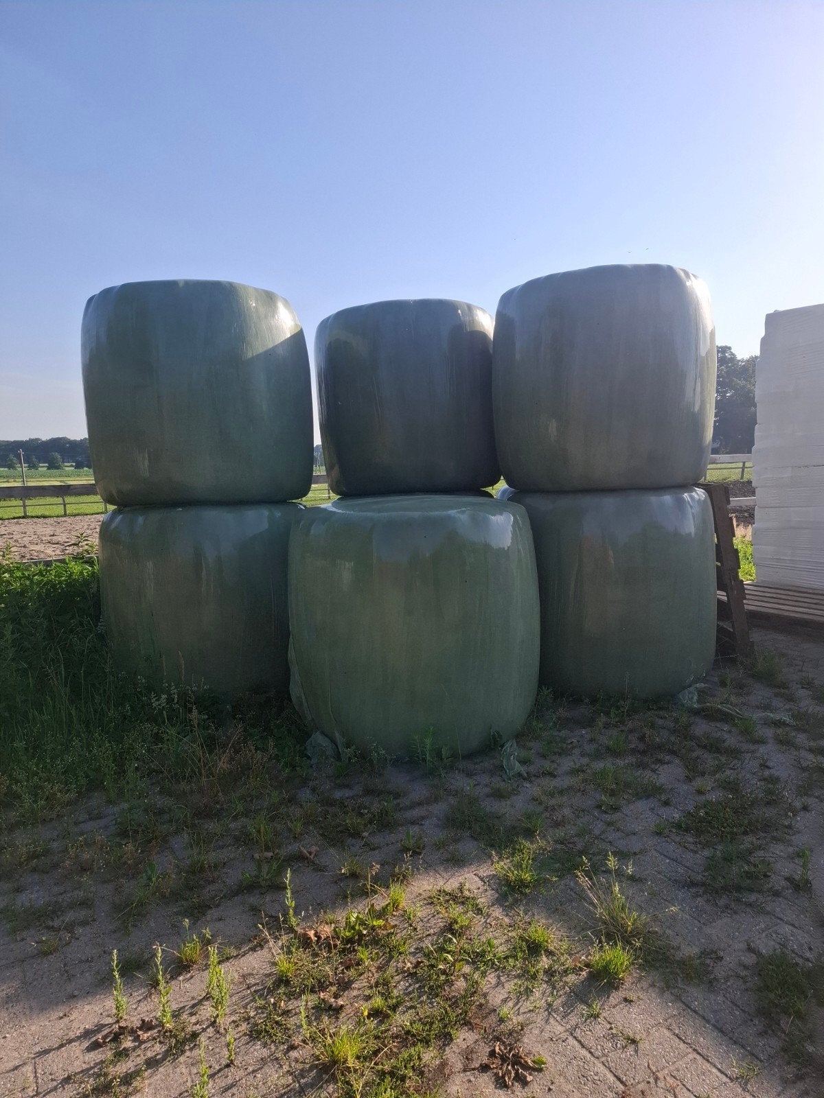 Hooibalen / Kuilbalen - Vers en van goede kwaliteit, Dieren en Toebehoren, Dierenvoeding, Ophalen