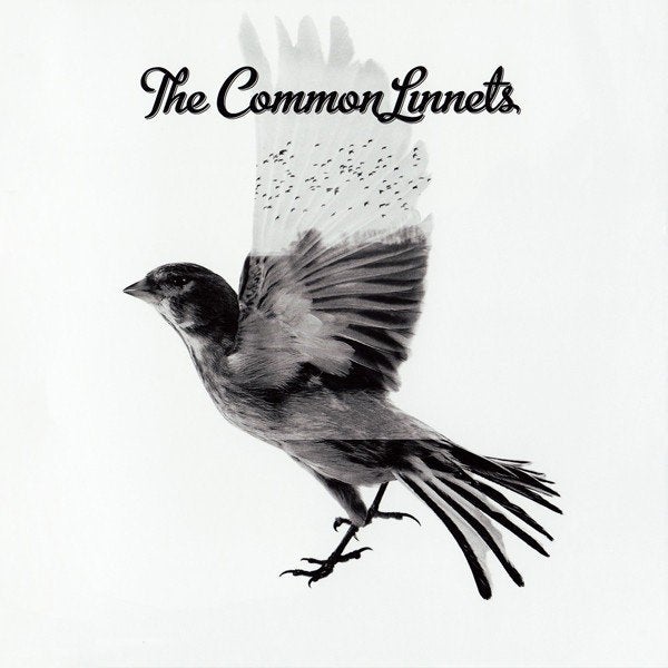 The Common Linnets - The Common Linnets (CD), Gebruikt, Overige genres, Ophalen of Verzenden, Inclusief doosje