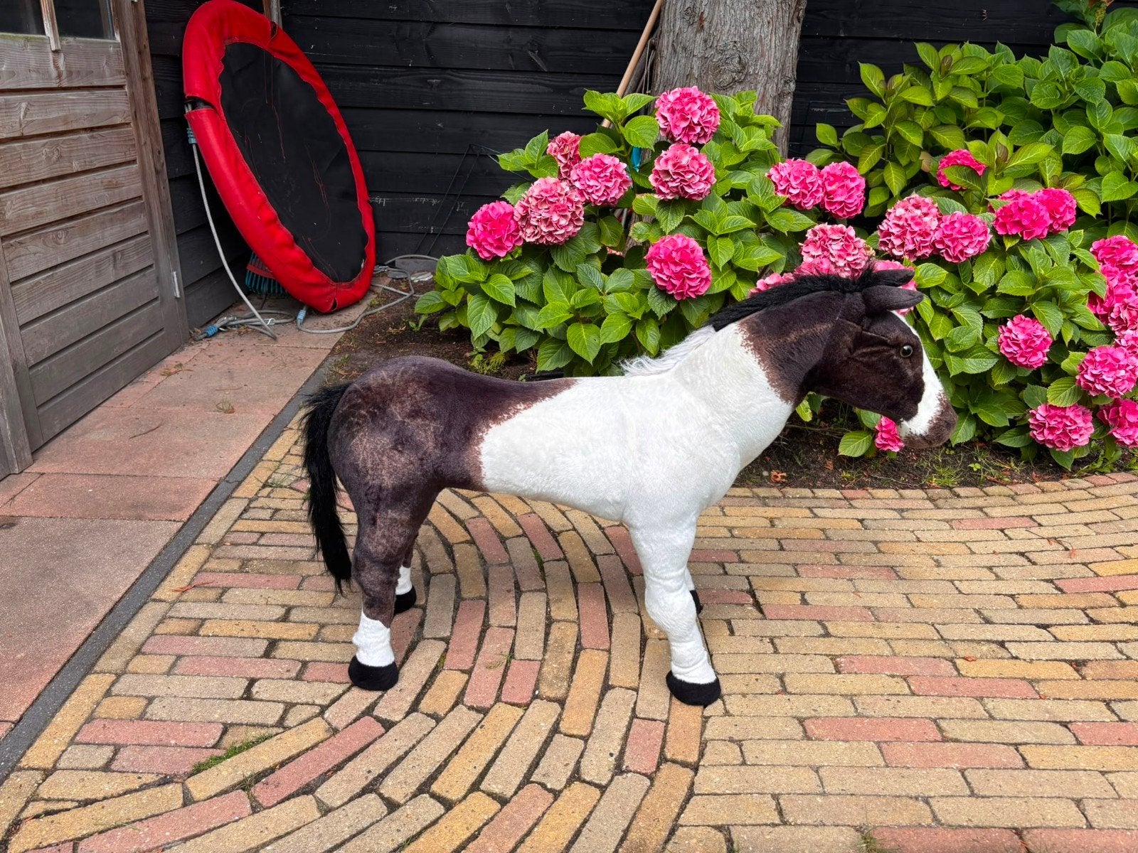 mooi paard met geluid, Ophalen, Zo goed als nieuw, Jongen of Meisje