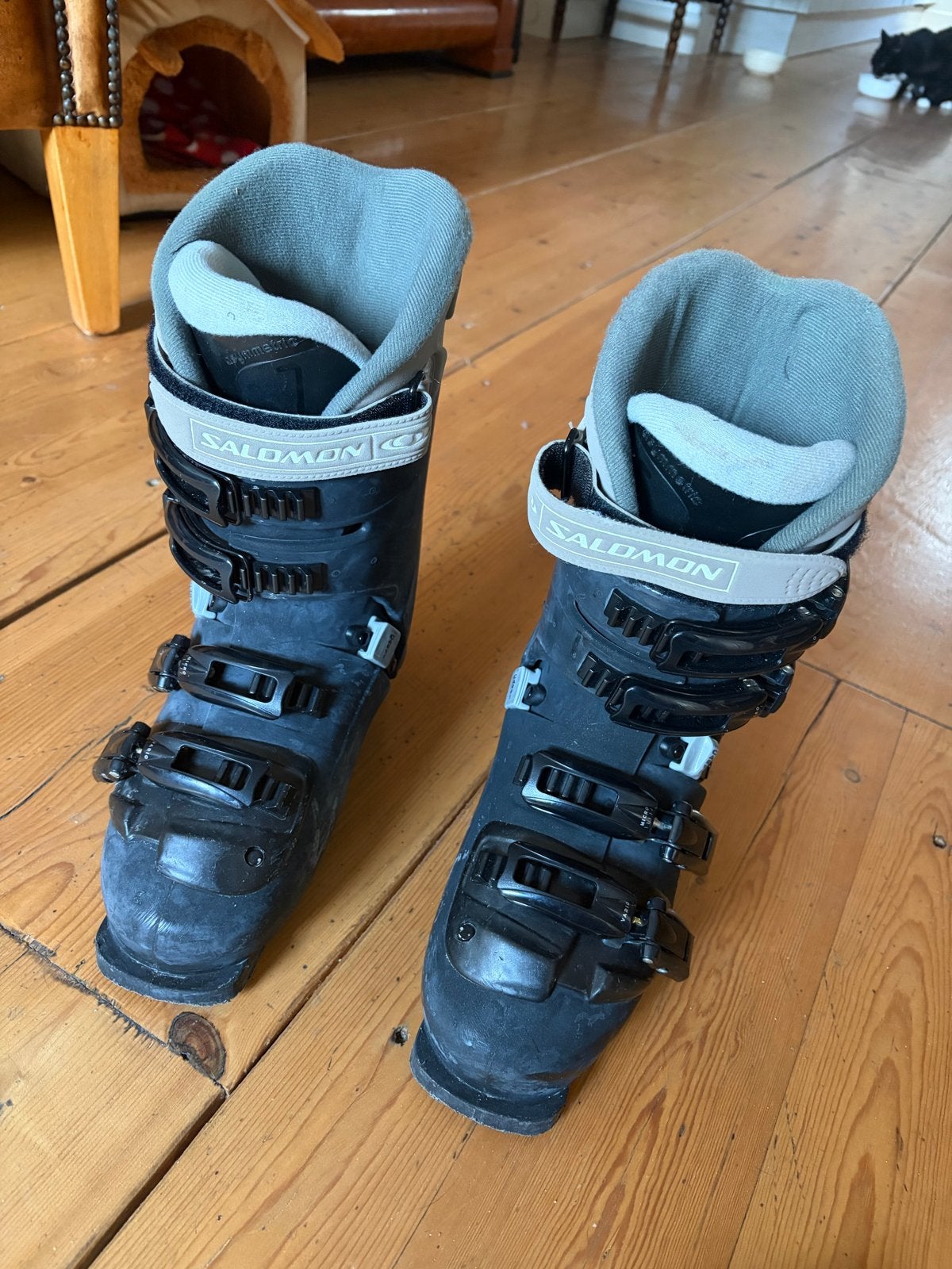 Salomon Evolution 6.0 skischoenen met Perry sporttas, Ophalen, 160 tot 180 cm, Gebruikt, Schoenen