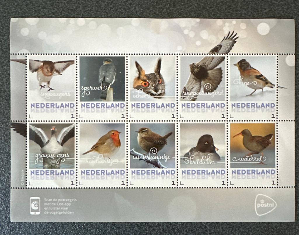 Postzegelvel Nederland Vogels 2023 Postfris, Ophalen of Verzenden, Na 1940, Postfris