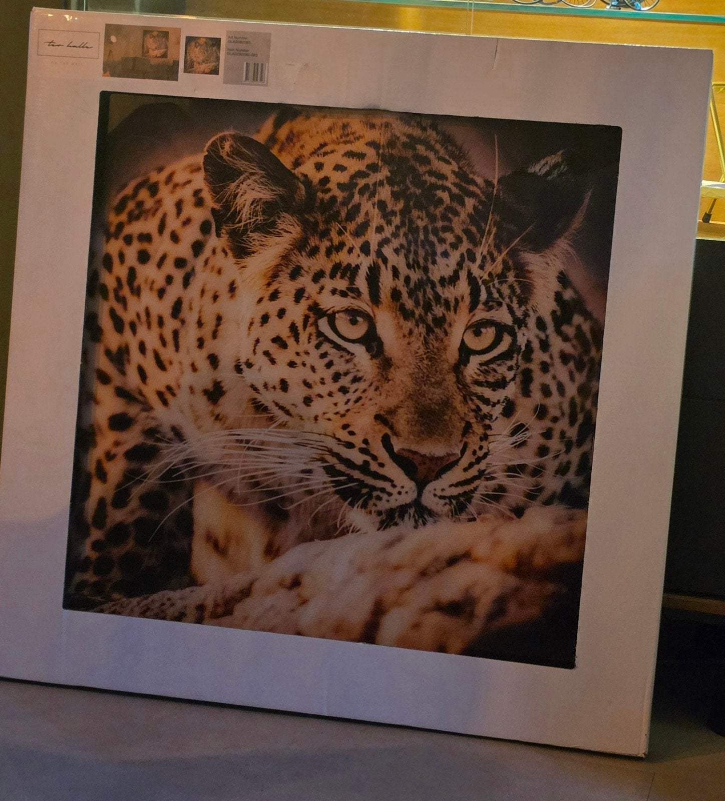 Glasschilderij panter, Ophalen, Nieuw, Schilderij