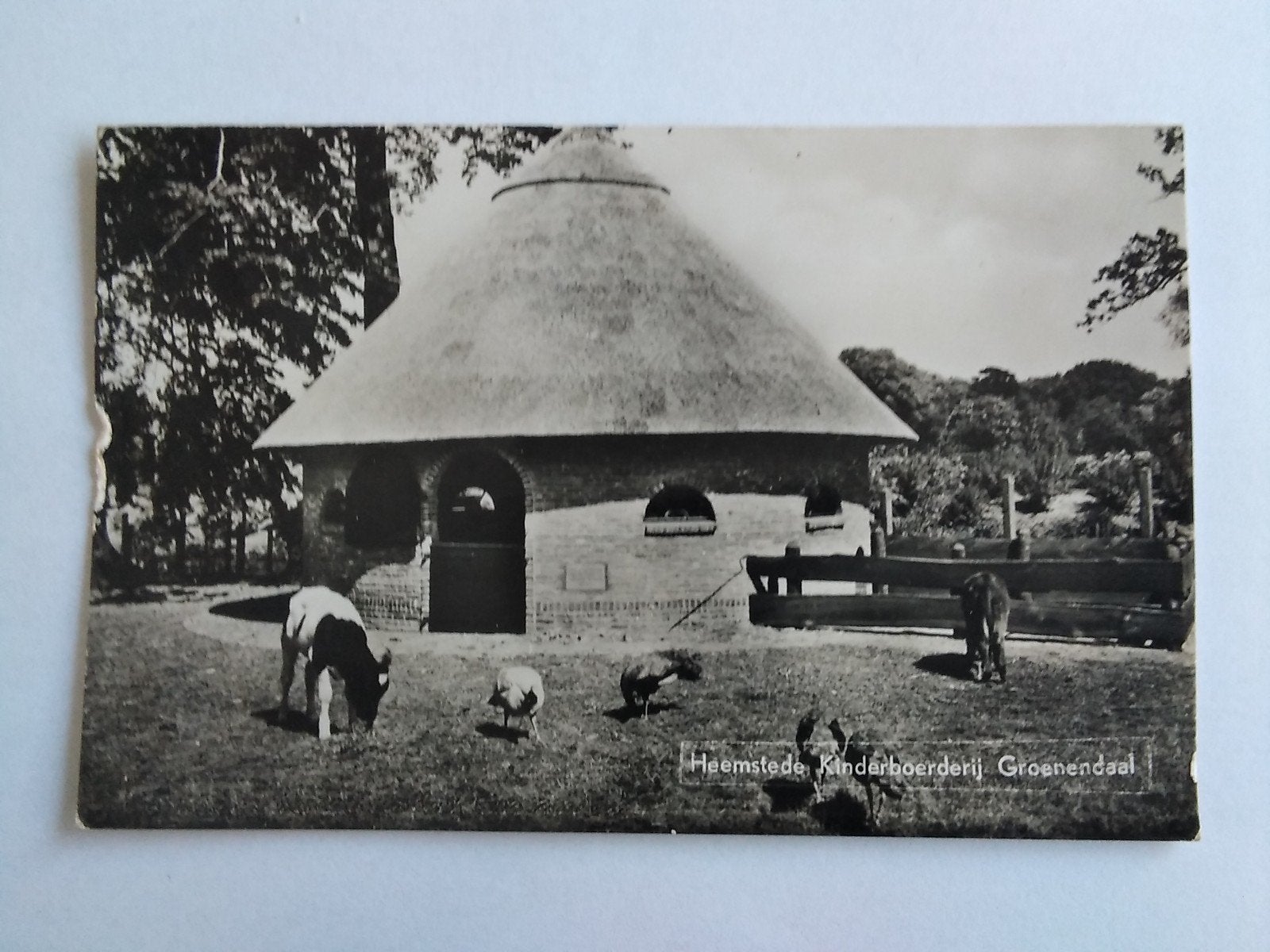 Ansichtkaart Heemstede Groenendaal Kinderboerderij 1960, Verzenden, 1940 tot 1960, Noord-Holland