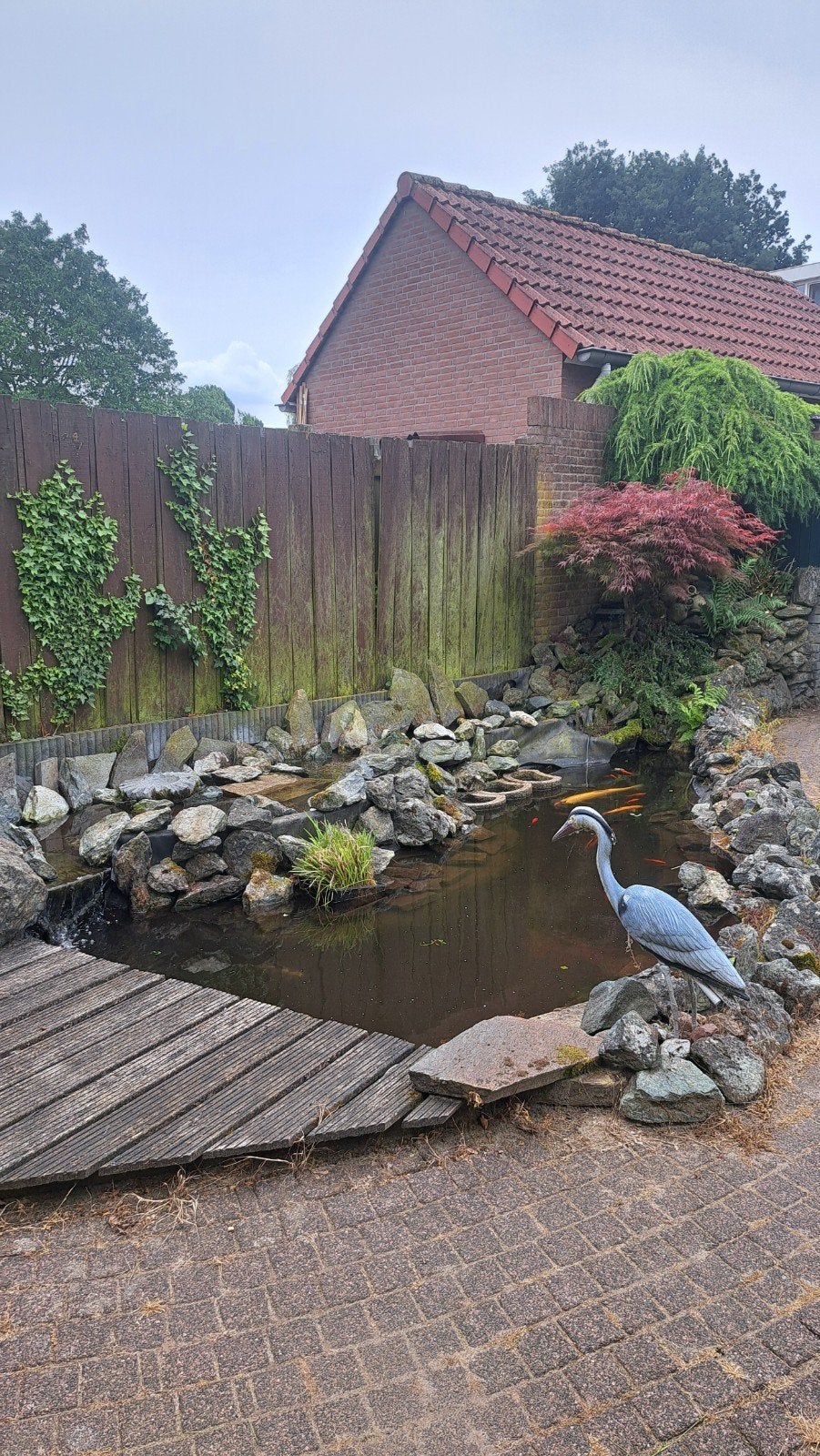 Complete vijver inclusief vissen, filters, pompen en toebeho, Ophalen, Gebruikt