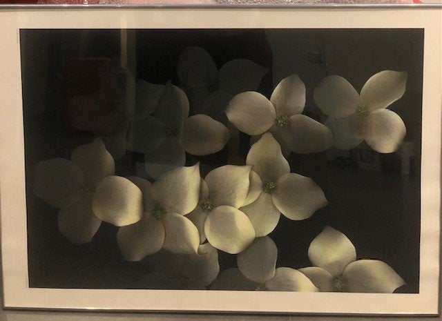 Aluminium Fotolijsten, Huis en Inrichting, Ophalen, Gebruikt, Fotolijst, Metaal