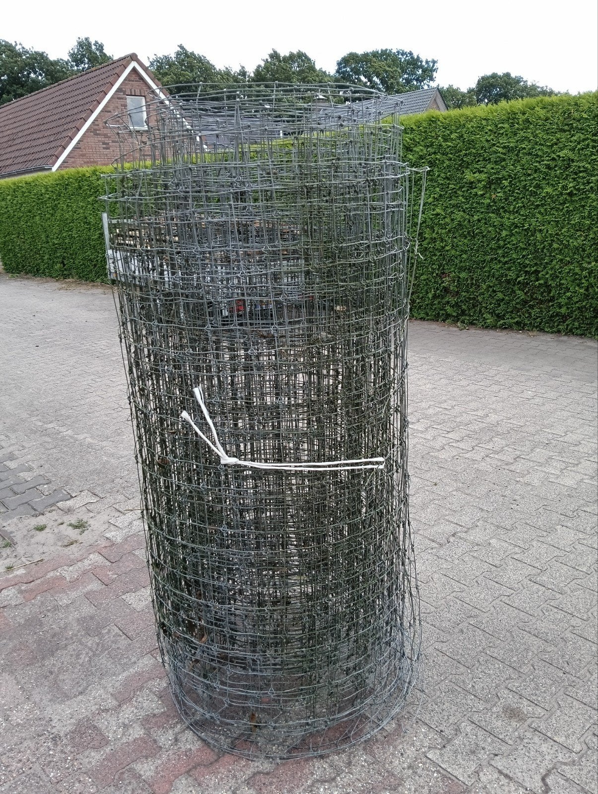 schapengaas, Ophalen, Nieuw, 20 meter of meer