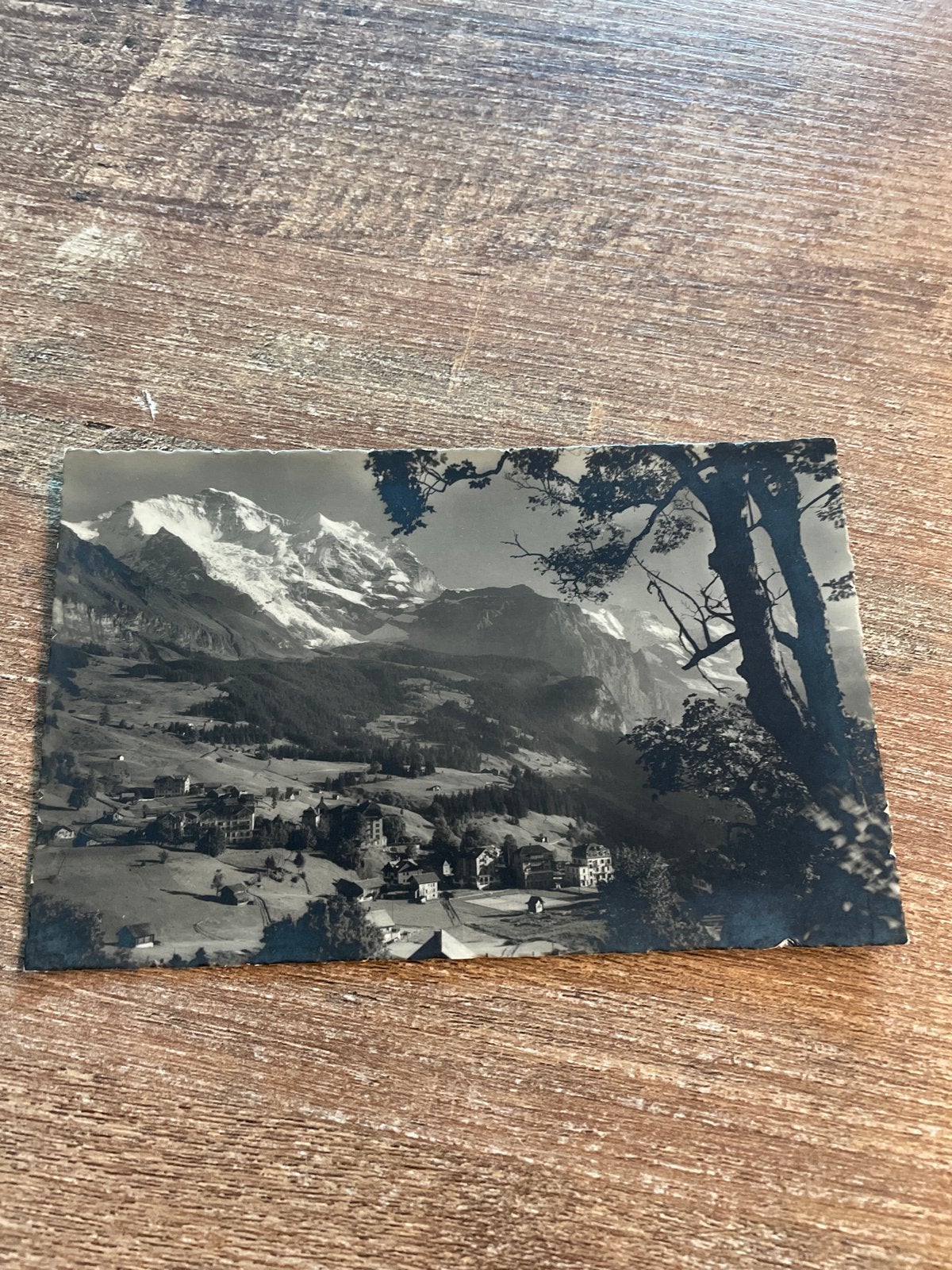 Oude ansichtkaart Wengen met Jungfrau, Zwitserland, Ophalen of Verzenden, Gelopen, Overig Europa